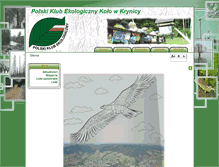 Tablet Screenshot of pke.ffp.org.pl
